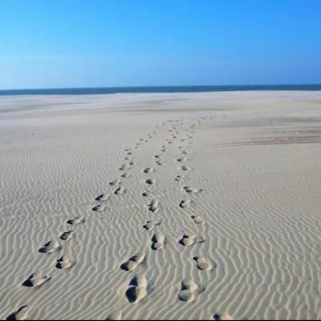 公寓 In By The 尼乌波特