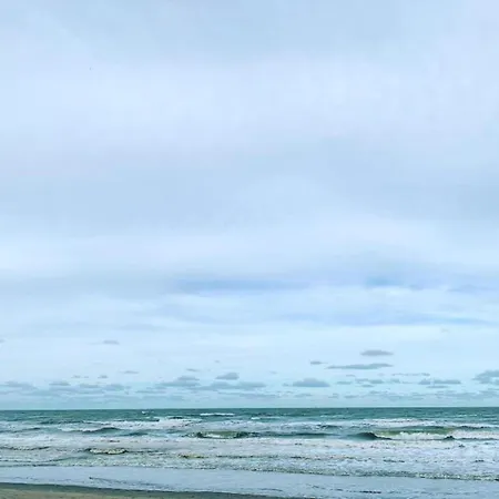 In By The * 尼乌波特